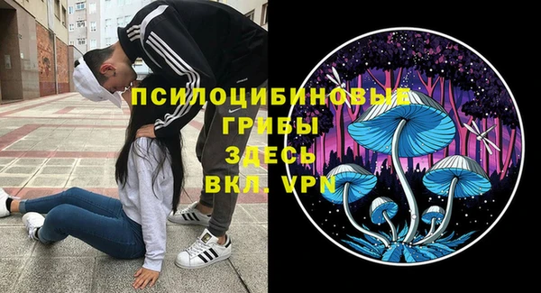 PSILOCYBIN Воткинск