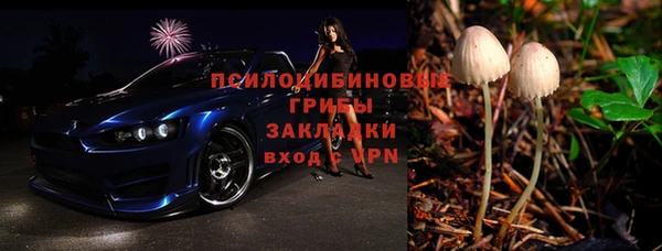 бошки Вяземский