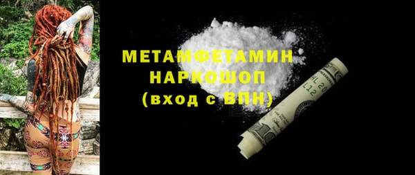 прущие грибы Вуктыл