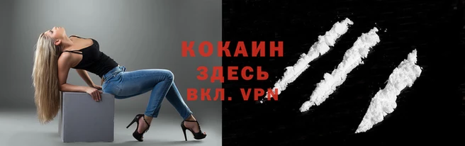 прущие грибы Вуктыл