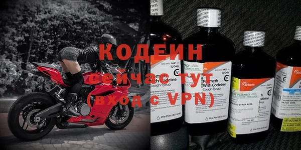 прущие грибы Вуктыл