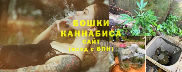прущие грибы Вуктыл