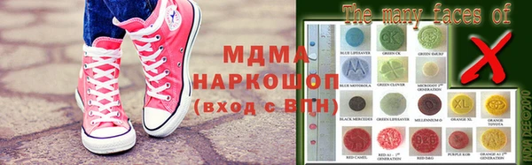 прущие грибы Вуктыл