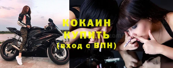 твердый Вязьма